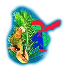 Cayman Islands