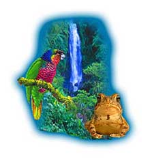 Dominica