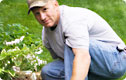 RBC Business Essentials&reg; Fixed Fee Plan 1