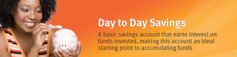 Day to Day Savings - A basic savings account