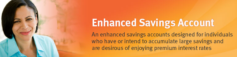 Enhanced Savings - premium interest rates for large funds