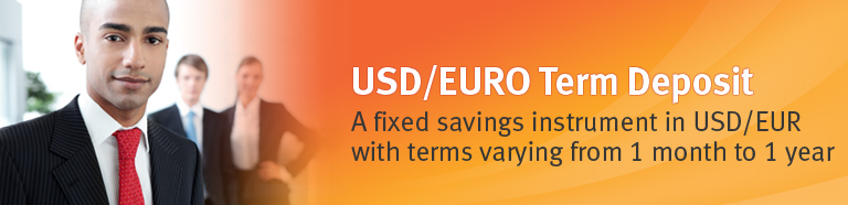 USD/EURO Term Deposit - A fixed savings instrument in USD/EURwith terms varying from 1 month to 1 year
