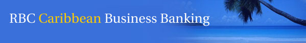 banner - caribbean business general