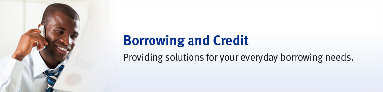 Borrowing and Credit. Providing solutions for your everyday borrowing needs.