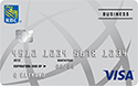 Visa Business