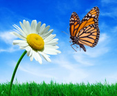 Environmental Initiatives