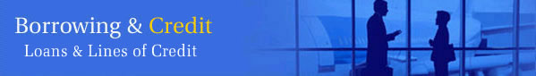Borrowing & Credit - Loans & Lines of Credit