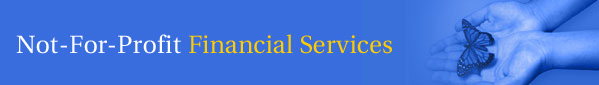Not-For-Profit Financial Services