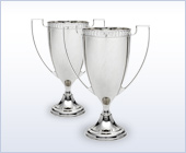 image of trophy