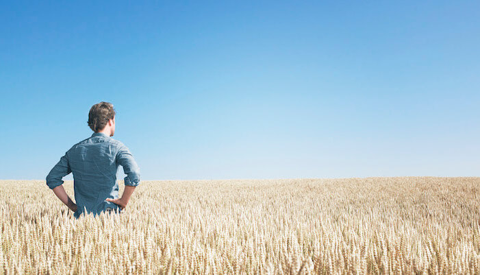 A farmer stands on the field