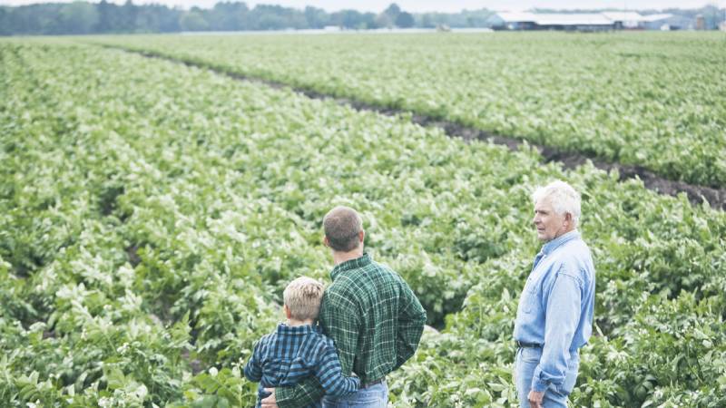 A farmer's family stands on the field