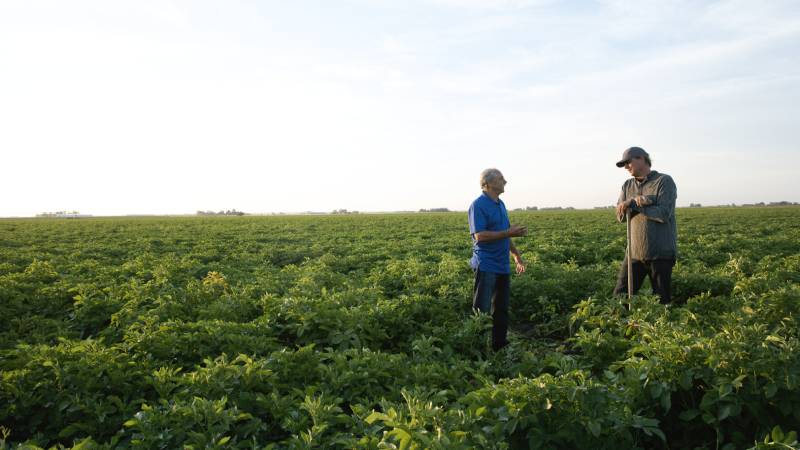 2 farmers and green field
