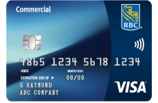 visa business platinum avion card