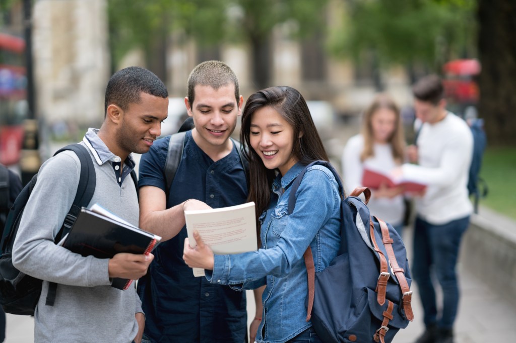 Multi-ethnic group of students studying outdoors