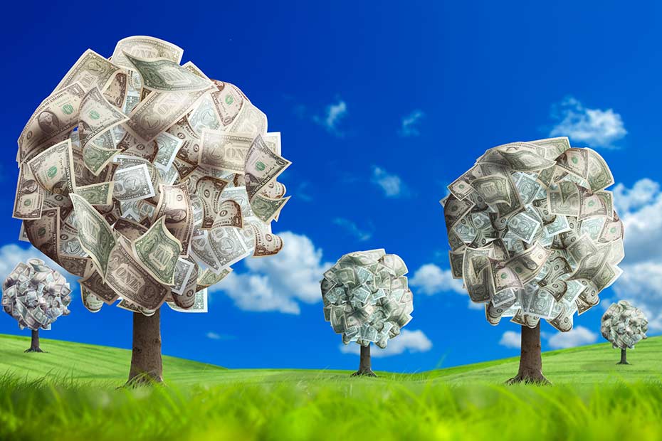 A field with trees made of dollar bills