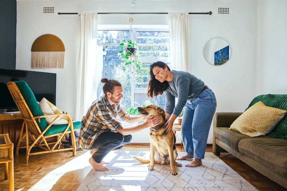 A young couple barefoot in their apartment living room, playing with a German Shepard