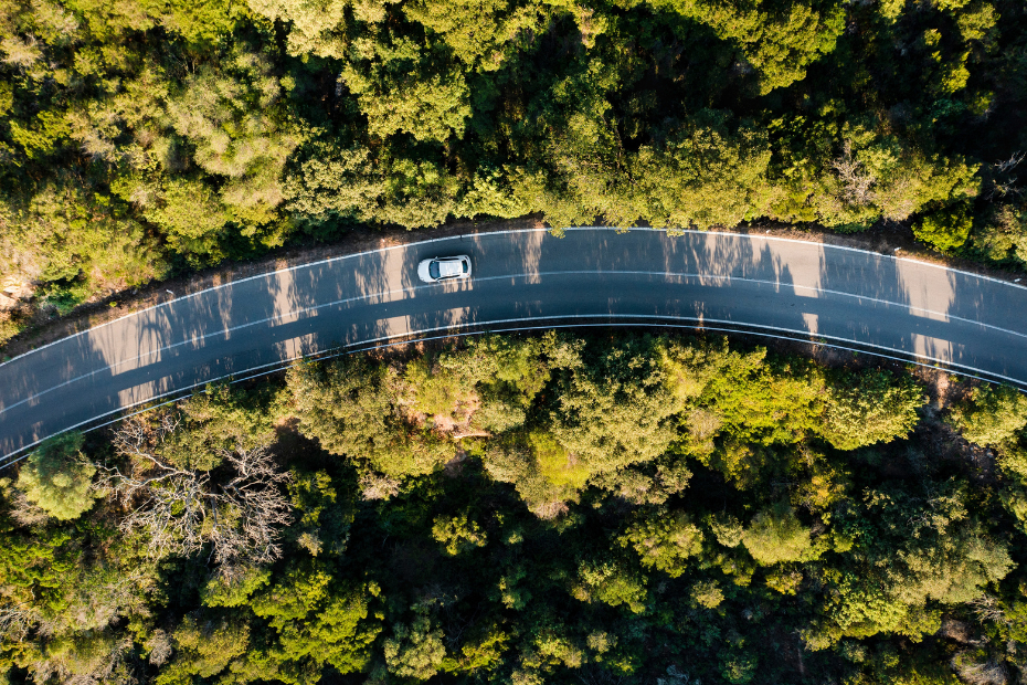 An aerial view of an electric vehicle driving on a road through trees.