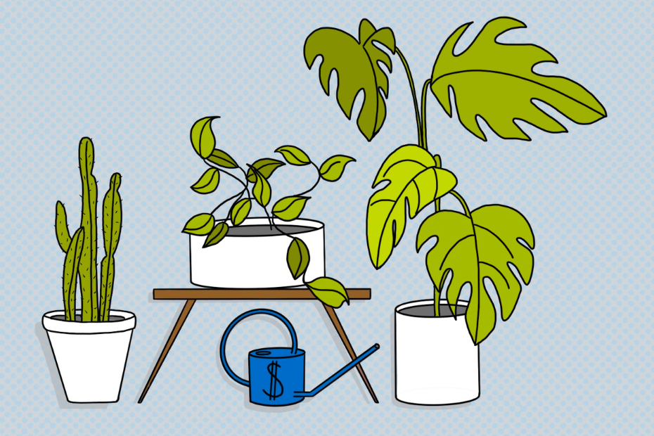 Illustration of different plants and their similarities to account types