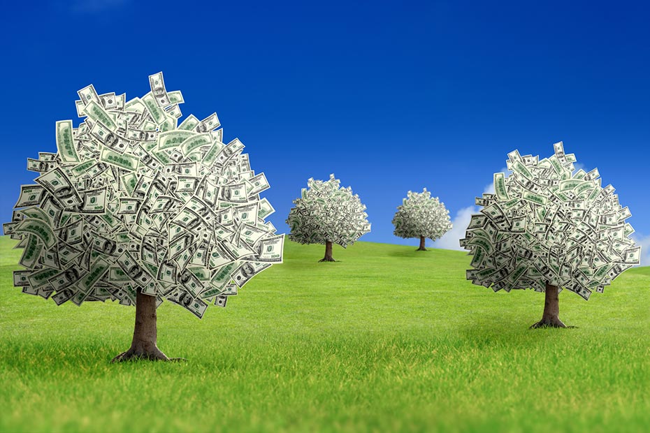 A field with trees made of dollar bills
