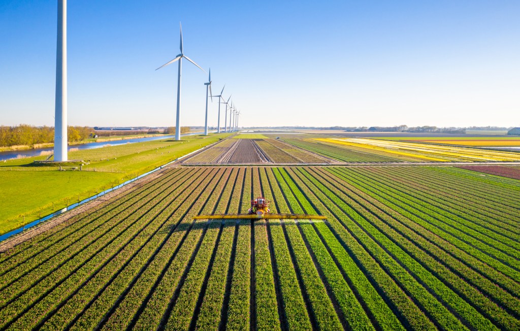 Aerial view of a farmer on tractor spreading fertilizer over the tulips in flower field in the spring, The Netherlands