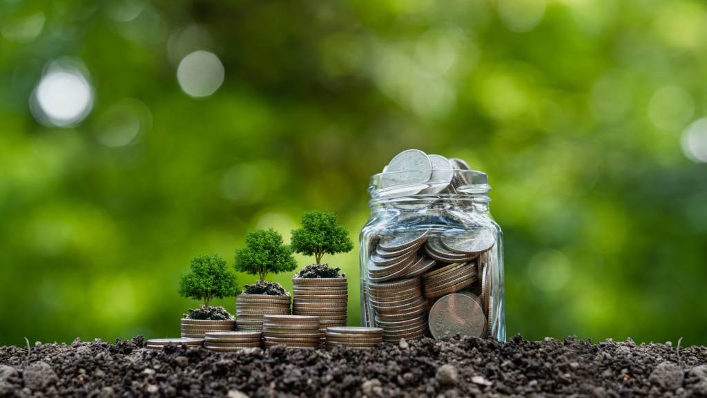 Stack of silver coins with seedlings ready to grow. Green finance concept. Concept of green business, finance and sustainable investment. Carbon credits. investment saves money