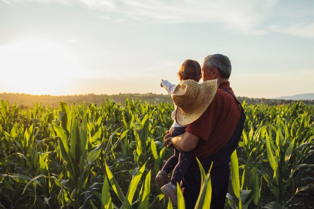 Grandfather and grandson in the farm looking ahead
