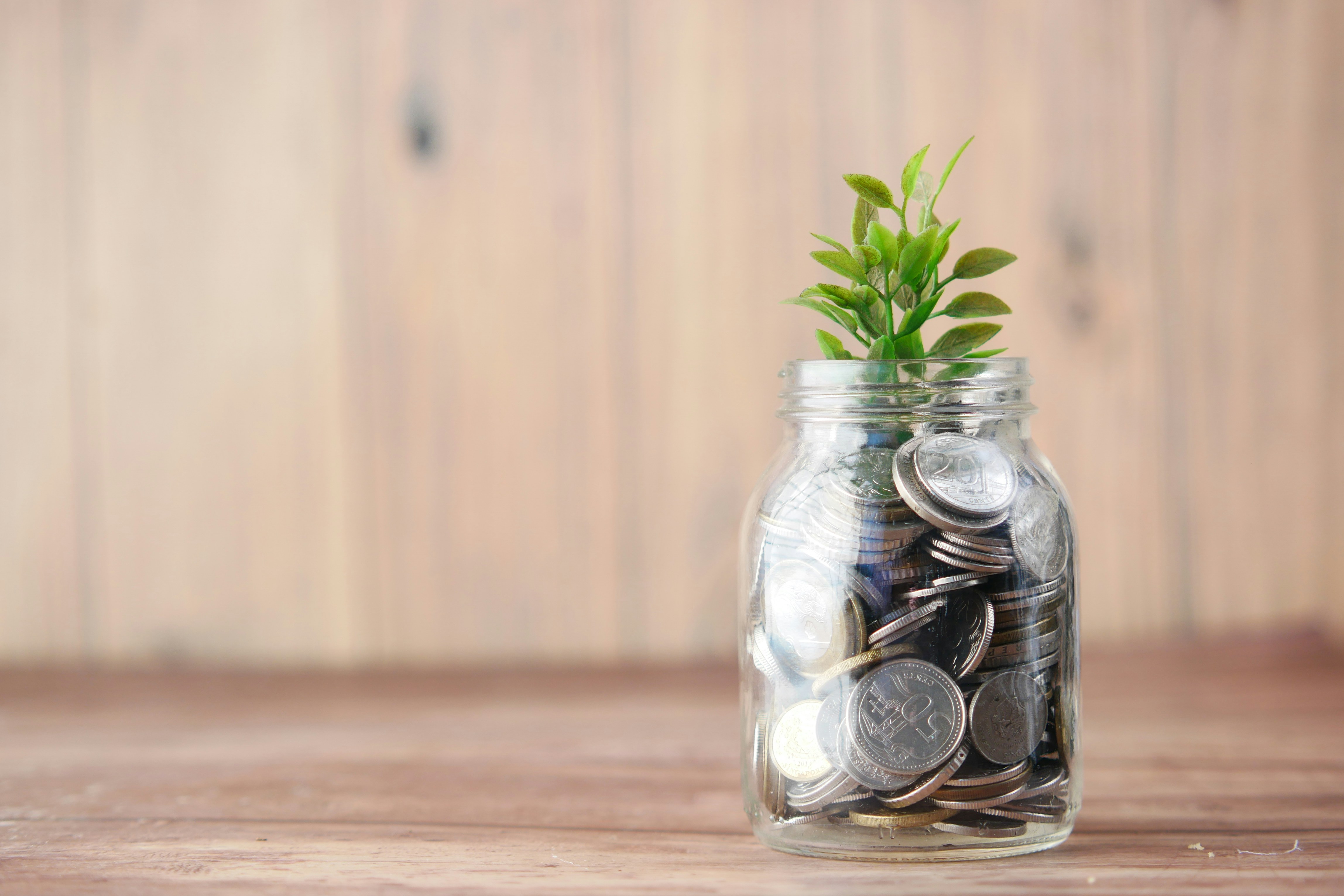 A jar of coins with a plant growing out of it