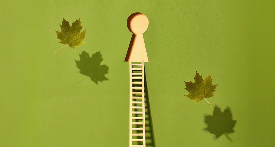 A green sheet of paper with a keyhole cut out in the centre, a ladder below it and maple leaves surrounding it