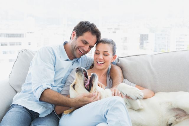 A happy couple sits on a white couch, playing with their dog, who is lying on its back.