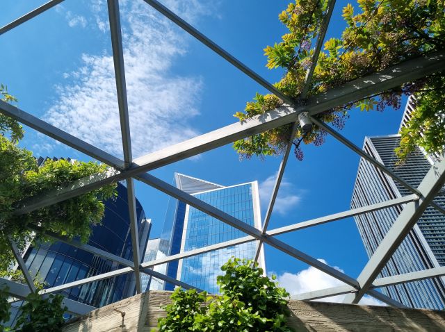 View of a blue sky, city skyline and trees through a glass roof