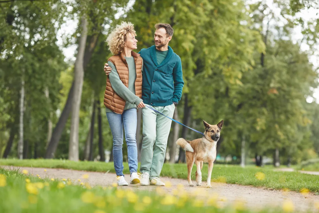 Middle-aged couple walking dog while reflecting on retirement savings and future financial security; image representing retirement readiness planning