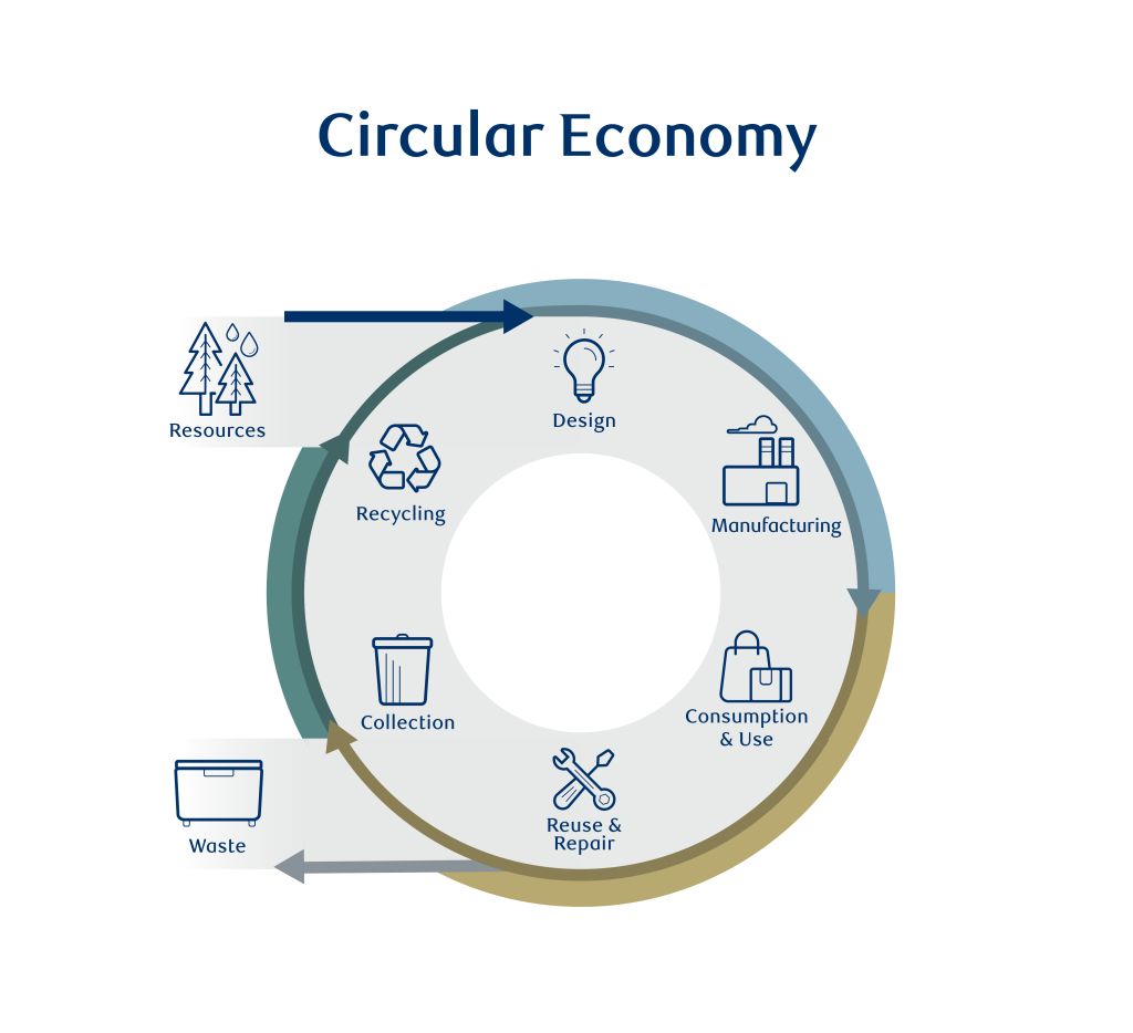 Chart showing the circular economy cycle.