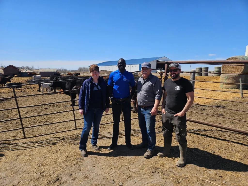 Three employees from RBC stand with a producer in front of cows on a farm in Canada