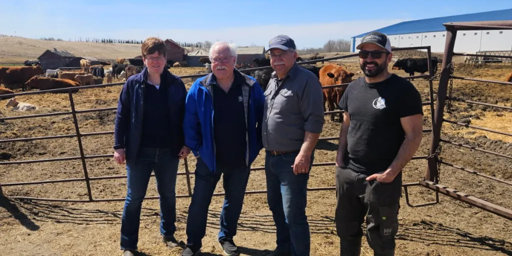 Three employees from RBC stand with a producer in front of cows on a farm in Canada