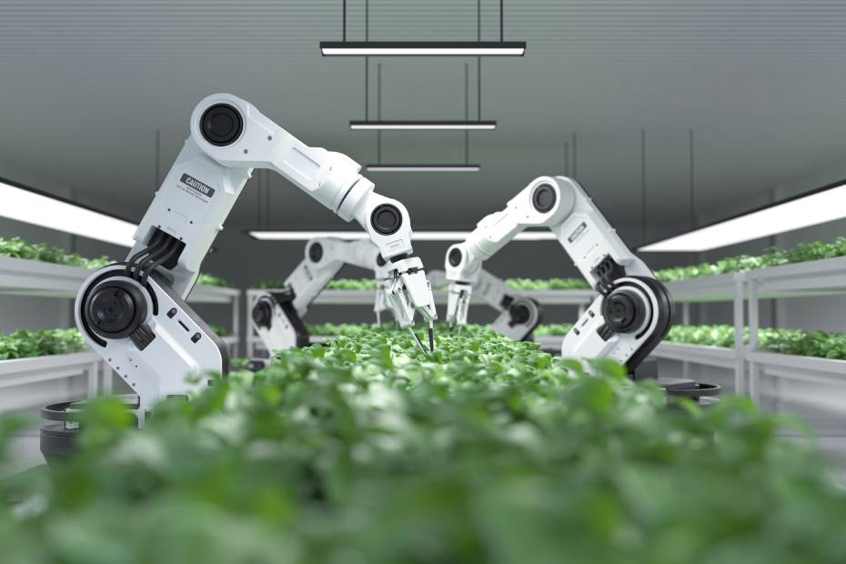 Des bras robotisés s'occupent de plantes dans le secteur émergeant du cannabis.
