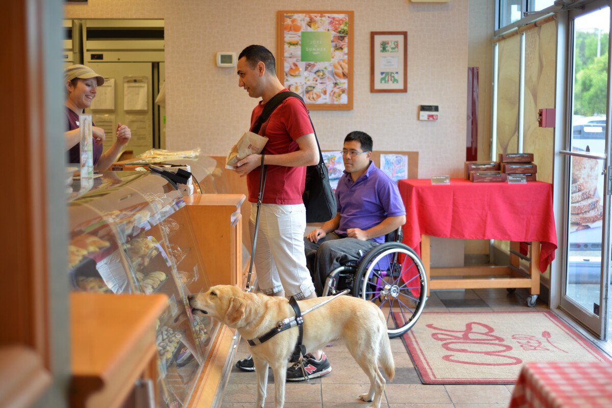 Une femme accompagnée d'un chien d'assistance entre dans un bâtiment certifié RHFAC.Mallaz Khalil et Arnold Cheng au comptoir d'un café accessible.