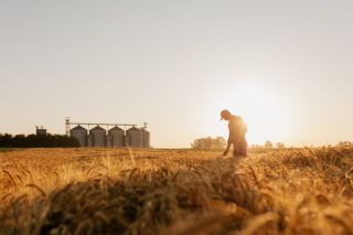 A farmer in the field during sunset.
