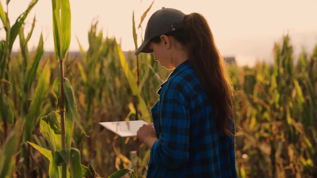 Une propriétaire d’entreprise agricole regarde une tablette dans un champ cultivé.