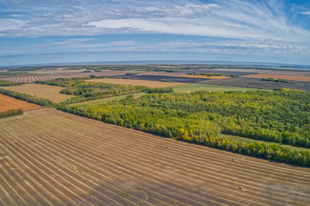 Vue aérienne des terres agricoles rurales au nord de Winnipeg, Manitoba