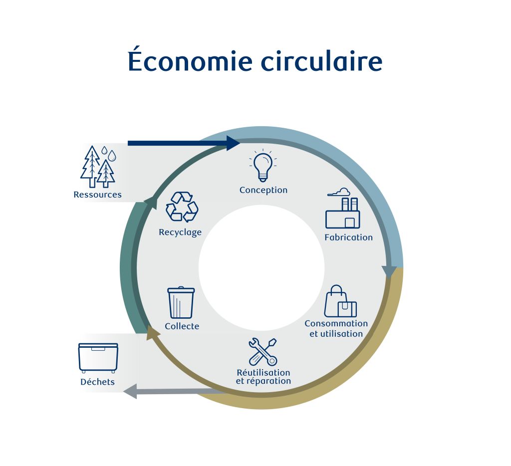 Graphique illustrant le cycle de l'économie circulaire.