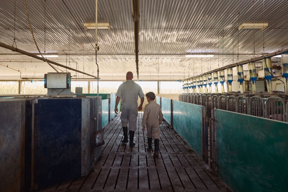Un agriculteur marche dans son étable avec son enfant.