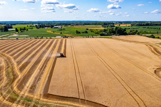 Vue aérienne d’une moissonneuse-batteuse lors de la récolte d’un champ de blé doré au Canada.