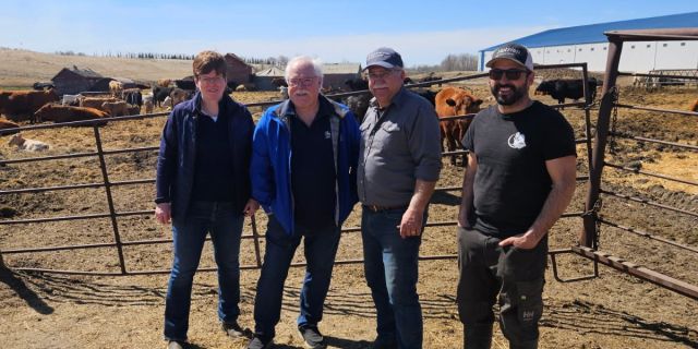 Trois employés de la RBC se tiennent avec un producteur devant des vaches sur une ferme au Canada