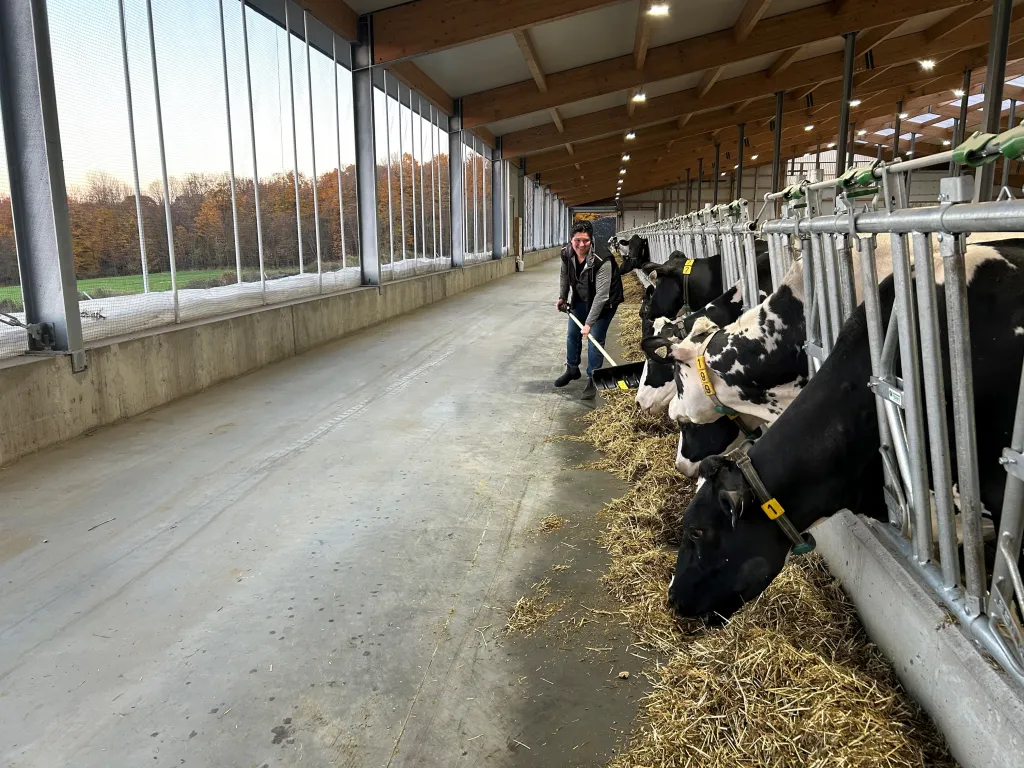Femme souriant tandis qu'elle pelle du foin à côté d'une rangée de vaches en train de manger.