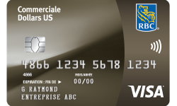 visa business platinum avion card