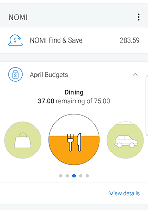 NOMI Budgets screenshot
